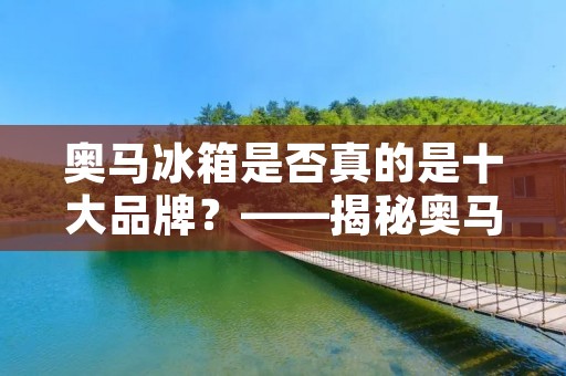 奥马冰箱是否真的是十大品牌？——揭秘奥马冰箱的真实面貌