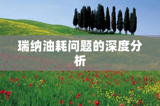 瑞纳油耗问题的深度分析