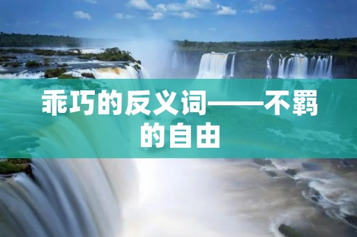 乖巧的反义词——不羁的自由