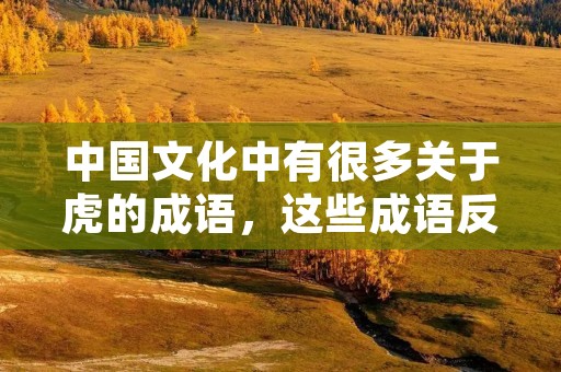 中国文化中有很多关于虎的成语,这些成语反映了虎在中国文化中所具有的重要意义。虎是中国文化中的重要图腾,代表着勇气、力量、威严和尊严。在中国传统文化中,虎被视为吉祥物,也是一种象征,被广泛应用于文学、艺术和日常生活中。