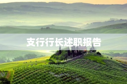 支行行长述职报告:绩效亮眼,发展前景广阔