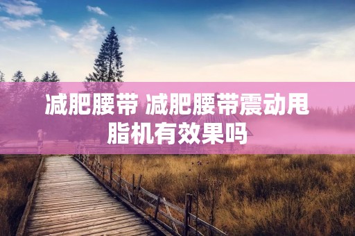 减肥腰带 减肥腰带震动甩脂机有效果吗