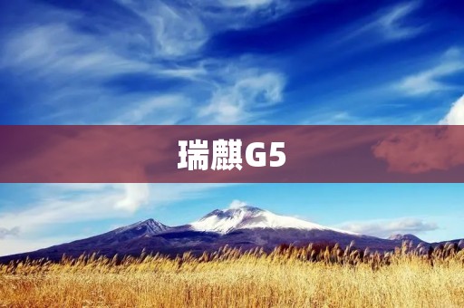 瑞麒G5:中国品牌的自主进化之路 瑞麒G5:中国品牌的自主进化之路