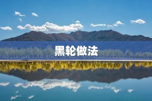 黑轮做法：手工制作美食的极致体验