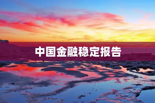 中国金融稳定报告