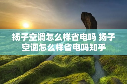 扬子空调怎么样省电吗 扬子空调怎么样省电吗知乎