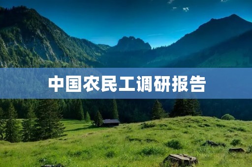 中国农民工调研报告:生存现状与心理状态