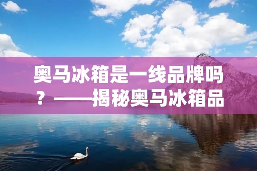 奥马冰箱是一线品牌吗?——揭秘奥马冰箱品牌实力 奥马冰箱是一线品牌吗?——揭秘奥马冰箱品牌实力