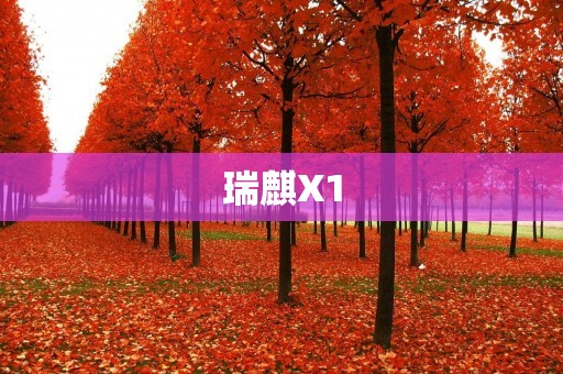 瑞麒X1：以科技驱动的智能SUV