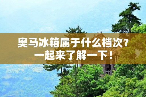 奥马冰箱属于什么档次?一起来了解一下! 奥马冰箱属于什么档次?一起来了解一下!