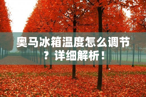 奥马冰箱温度怎么调节?详细解析!