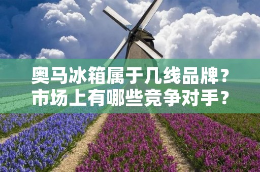奥马冰箱属于几线品牌？市场上有哪些竞争对手？