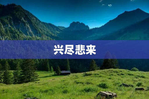 兴尽悲来:当成功背后的痛楚袭来