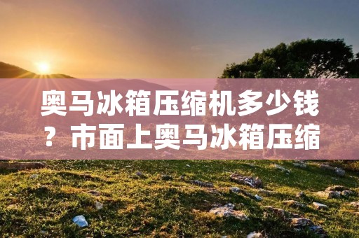 奥马冰箱压缩机多少钱？市面上奥马冰箱压缩机的价格并不是固定的，因为它们的价格会受到多种因素的影响，例如压缩机的型号、品牌、性能、产地、销售渠道以及市场需求等。那么，我们该如何评估奥马冰箱压缩机的价格呢？
