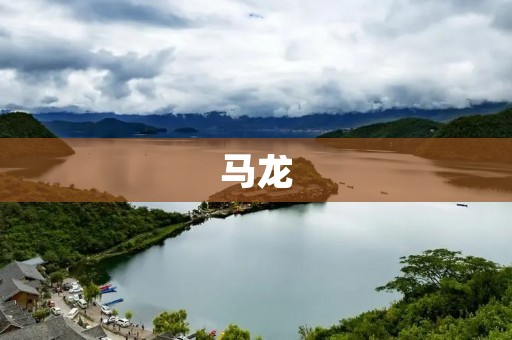 马龙：中国乒乓球队的奥运传奇