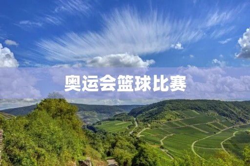 奥运会篮球比赛：美国vs西班牙