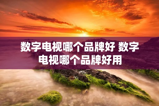数字电视哪个品牌好 数字电视哪个品牌好用