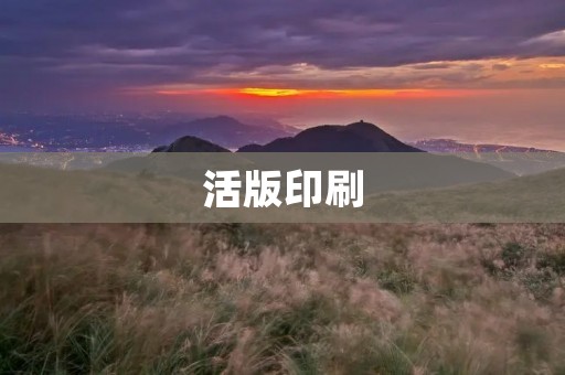 活版印刷：传统技艺的魅力与现代应用
