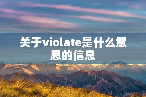 关于violate是什么意思的信息