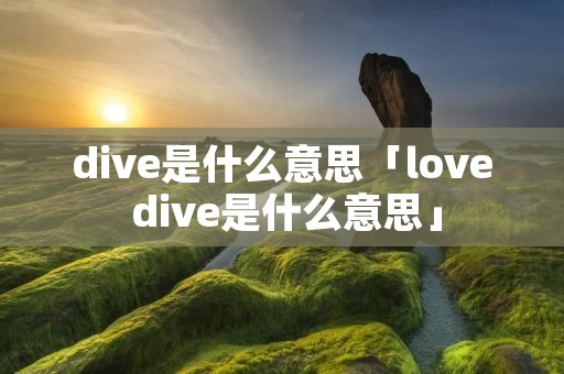 dive是什么意思「love dive是什么意思」