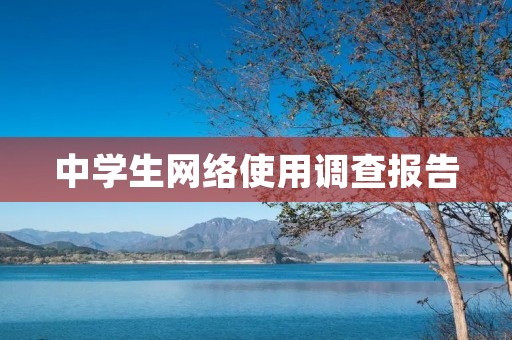 中学生网络使用调查报告