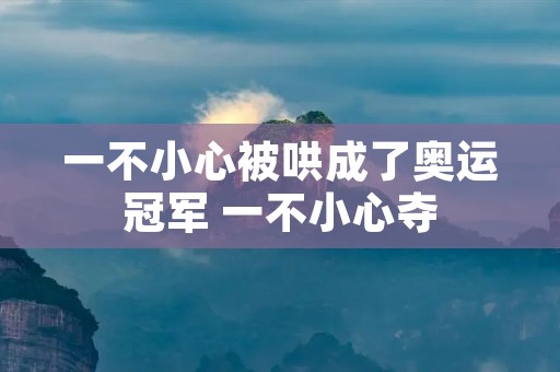 一不小心被哄成了奥运冠军 一不小心夺 一不小心被哄成了奥运冠军 一不小心夺
