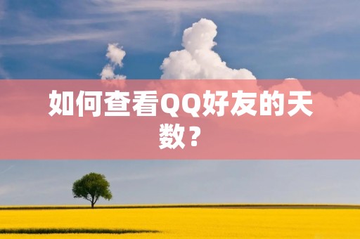 如何查看QQ好友的天数?