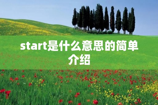 start是什么意思的简单介绍