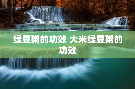 绿豆粥的功效 大米绿豆粥的功效