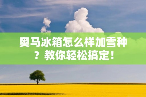 奥马冰箱怎么样加雪种？教你轻松搞定！