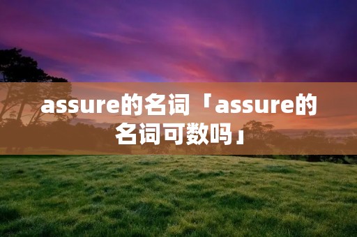 assure的名词「assure的名词可数吗」