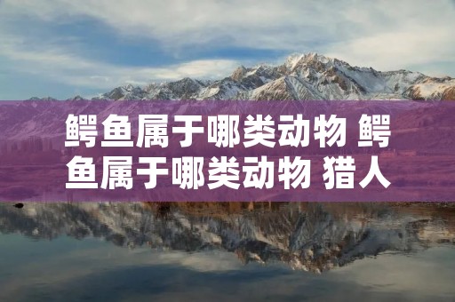 鳄鱼属于哪类动物 鳄鱼属于哪类动物 猎人发现了正拿着枪 鳄鱼属于哪类动物 鳄鱼属于哪类动物 猎人发现了正拿着枪