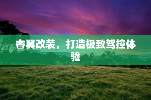 睿翼改装,打造极致驾控体验