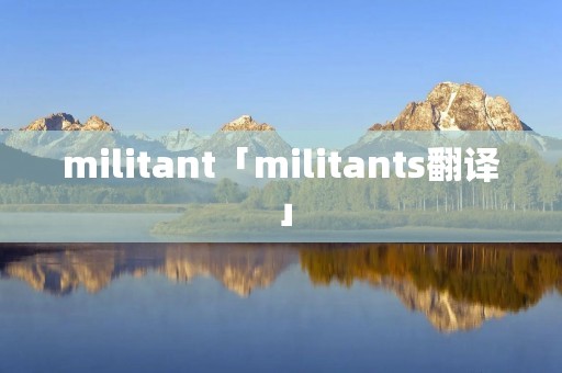 militant「militants翻译」
