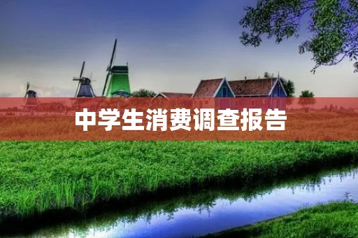 中学生消费调查报告:消费习惯与意识分析