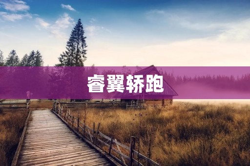 睿翼轿跑：突破传统的豪华轿车