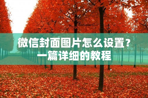 微信封面图片怎么设置?一篇详细的教程