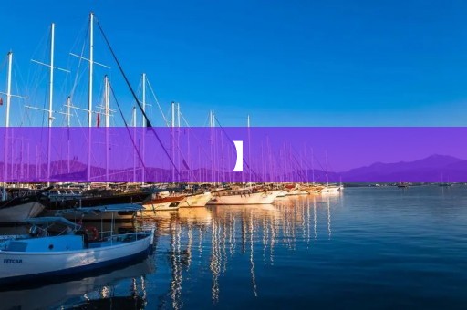 】