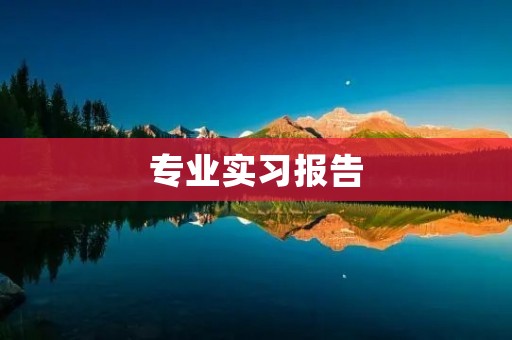 专业实习报告:基于XXX公司市场营销策略的实践研究