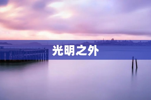 光明之外:揭示暗淡无光的真相