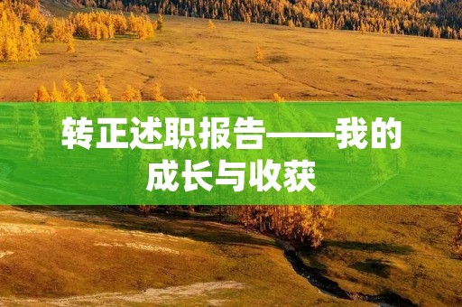 转正述职报告——我的成长与收获