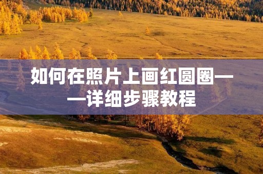 如何在照片上画红圆圈——详细步骤教程