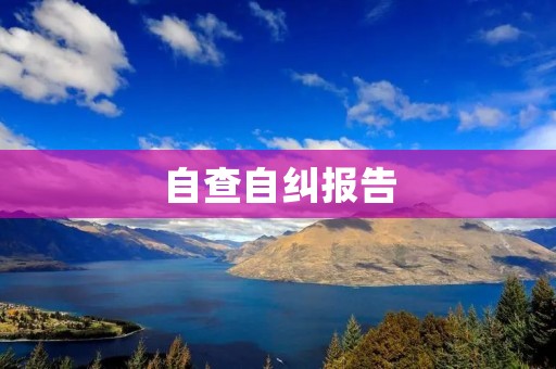 自查自纠报告:强化企业内部管理,促进可持续发展