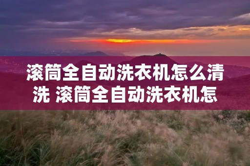 滚筒全自动洗衣机怎么清洗 滚筒全自动洗衣机怎么清洗里面的脏东西 滚筒全自动洗衣机怎么清洗 滚筒全自动洗衣机怎么清洗里面的脏东西