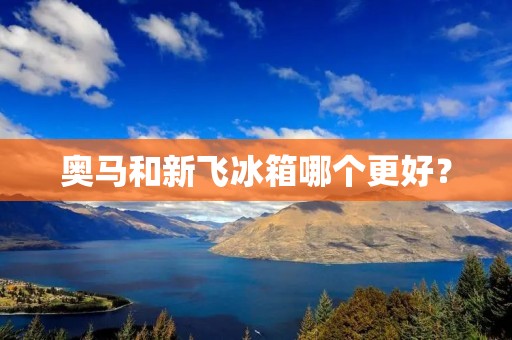 奥马和新飞冰箱哪个更好? 奥马和新飞冰箱哪个更好?