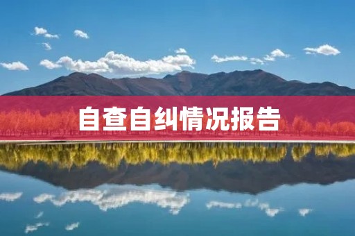 自查自纠情况报告