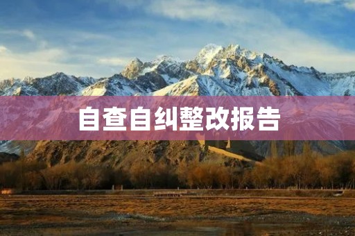 自查自纠整改报告