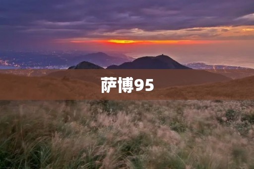 萨博95:一款经典的车型 萨博95:一款经典的车型