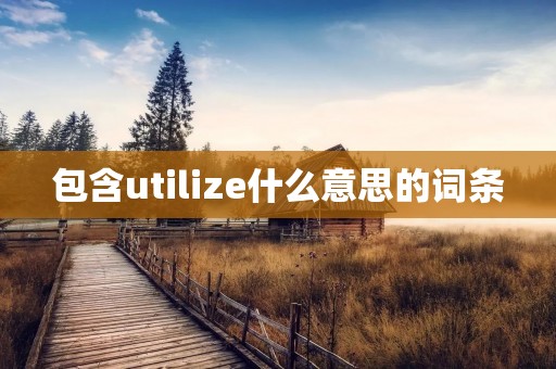 包含utilize什么意思的词条
