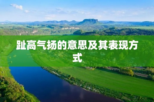 趾高气扬的意思及其表现方式